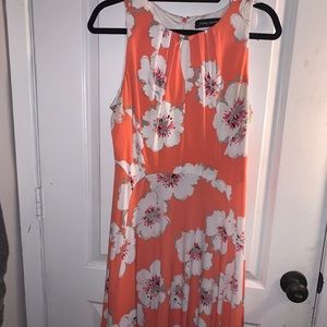 Ivanka Trump knee length dress